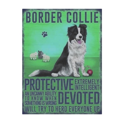 Border Collie Fridge Magnet