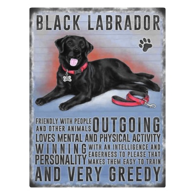 Black Labrador Fridge Magnet